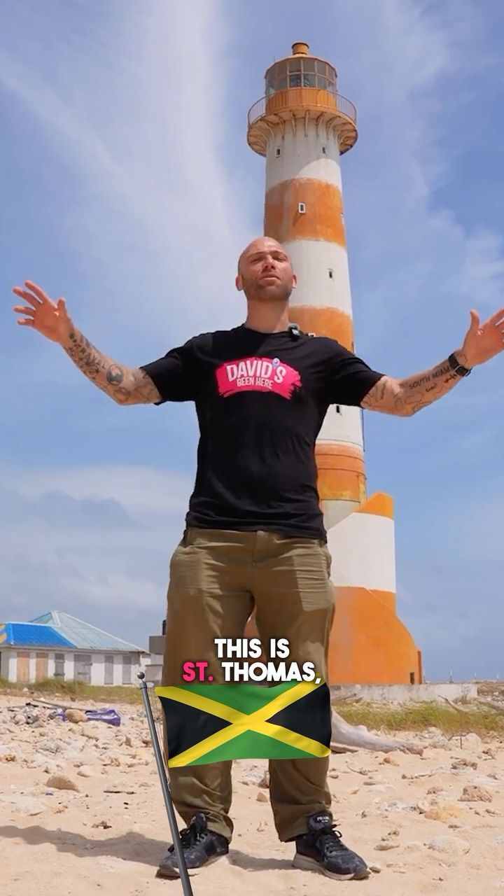 David Hoffmann (@davidsbeenhere) — Travel & Staycations creator in Miami